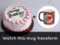 Vanilla Cake & MagicMug Combo