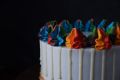 Premium Frosting Cake - Customizable