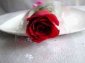 Single Red Rose