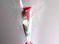 Single Red Rose