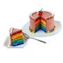 Chocolate Rainbow Cake - Customizable