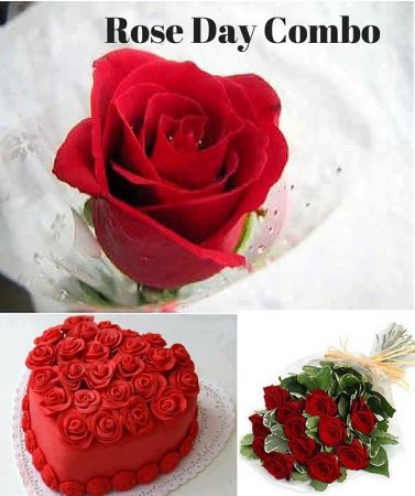 Valentines Rose Day 7 Feb